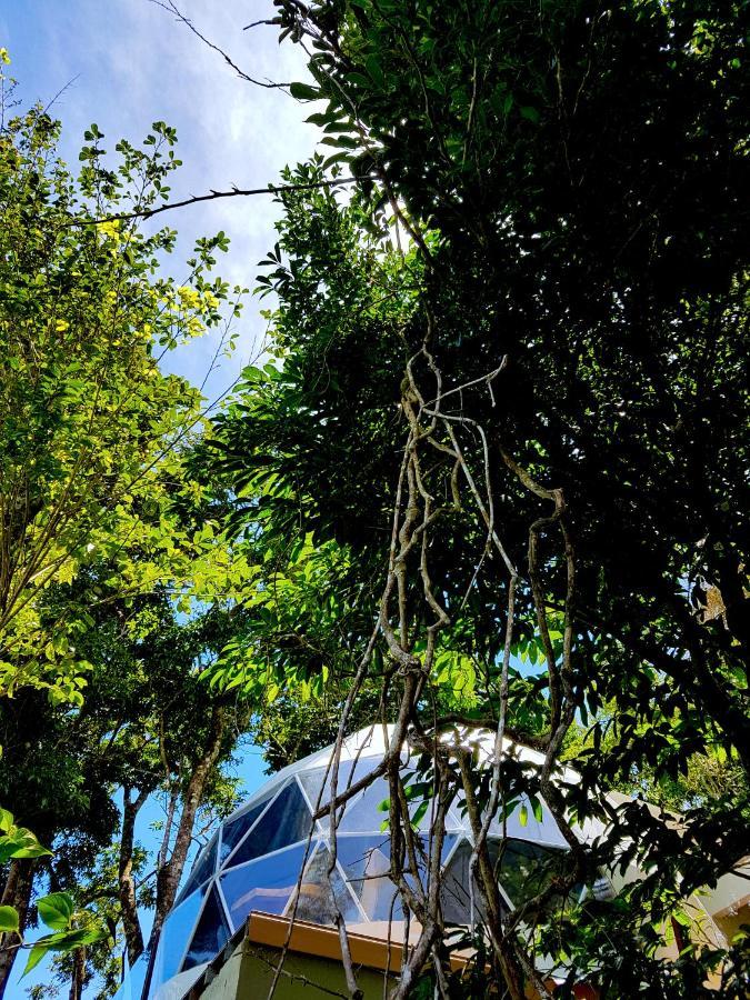 Chira Glamping Resort Monteverde Монте-Верде Экстерьер фото