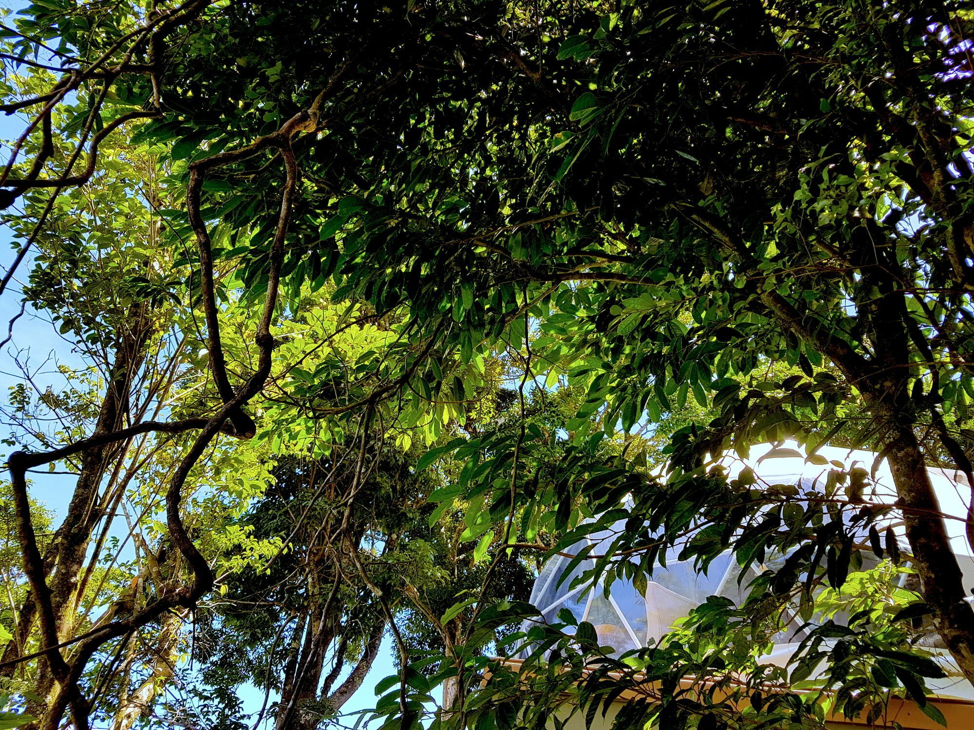 Chira Glamping Resort Monteverde Монте-Верде Экстерьер фото